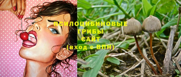 спиды Лиски