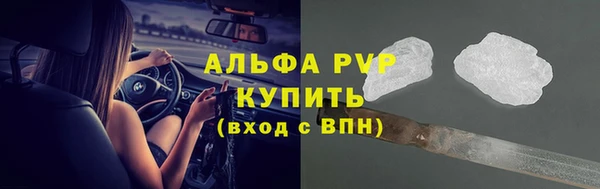 эйфоретик Тайга