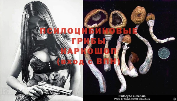 mix Белокуриха