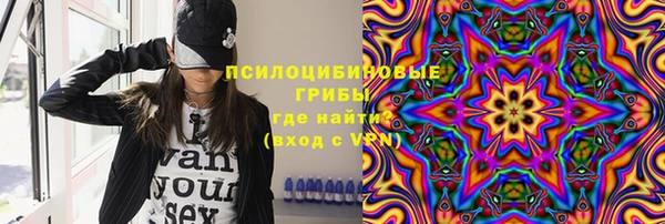 спиды Лиски