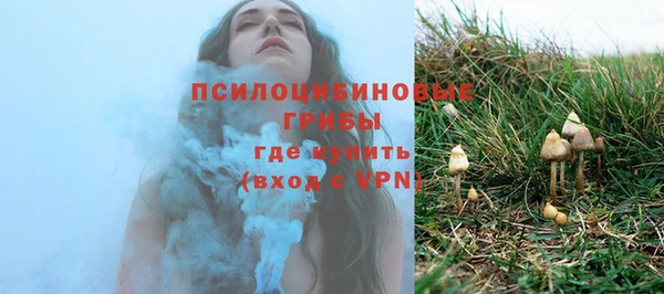 ПСИЛОЦИБИНОВЫЕ ГРИБЫ Белоозёрский
