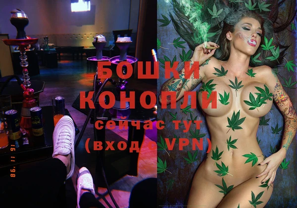 хмурый Липки