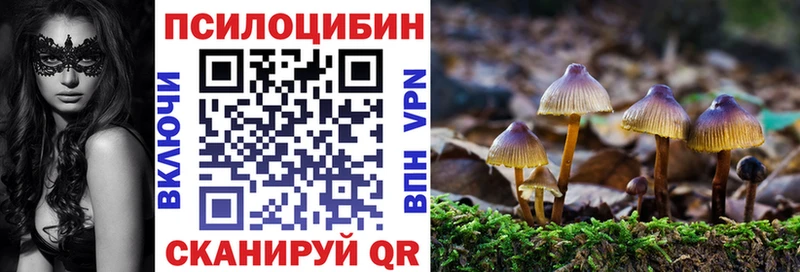гидра ССЫЛКА  Шатура  сайты даркнета наркотические препараты  хочу   Галлюциногенные грибы Psilocybine cubensis 